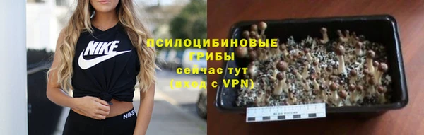 дживик Нефтекумск
