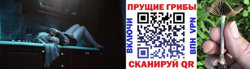 Галлюциногенные грибы мицелий  Невельск 